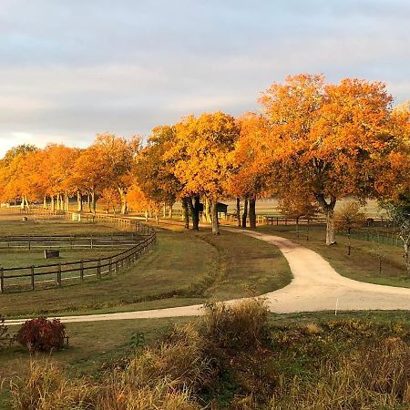 Haras Du Vignault Le Bucher Salbris Buitenkant foto