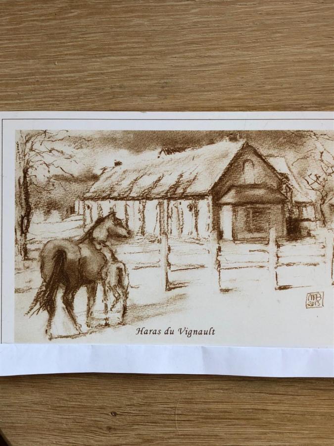 Haras Du Vignault Le Bucher Salbris Buitenkant foto